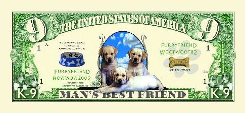 10 Greyhound Dog  K-9 Collectible Novelty Money Bills #279 