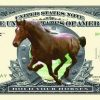 Horse One Million Dollar Bill
