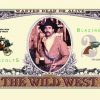 Wild, Wild West Bill