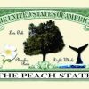 Georgia State Novelty Bill