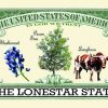 Texas State Novelty Bill