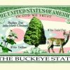 Ohio State Novelty Bill