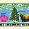 Montana State Novelty Bill