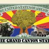 Arizona State Novelty Bill