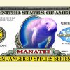 Endangered Manatee One Million Dollar Bill