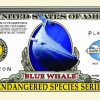 Endangered Blue Whale One Million Dollar Bill