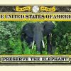 Endangered Elephant One Million Dollar Bill