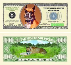 Boxer One Million Dollar Bill