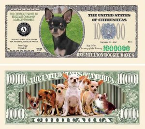 Chihuahua One Million Dollar Bill