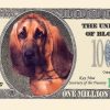 Bloodhound One Million Dollar Bill