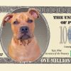 Pit Bull One Million Dollar Bill