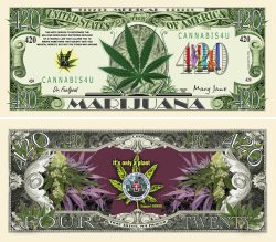 Medical Marijuana 420 Bill