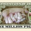 PIG MILLION DOLLAR BILL