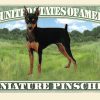 MINIATURE PINSCHER DOG MILLION DOLLAR BILL