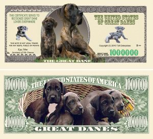 Great Dane Million Dollar Bill